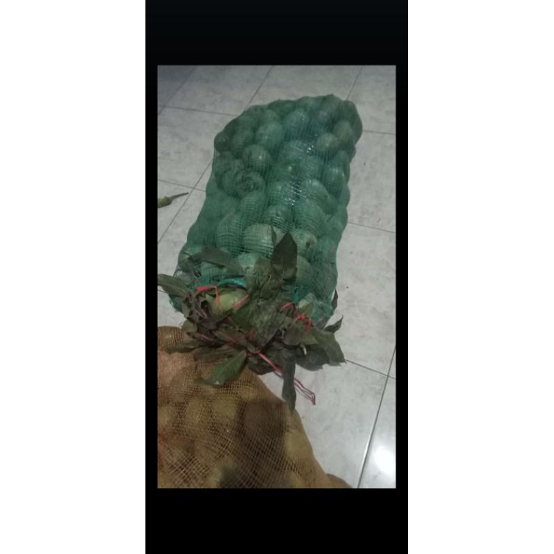 

mangga rujakmanalagi