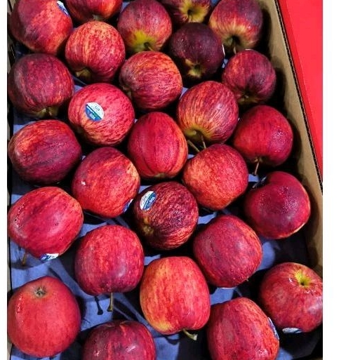 

Apel merah (1 kg)