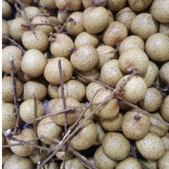 

Lengkeng Bangkok(1kg)