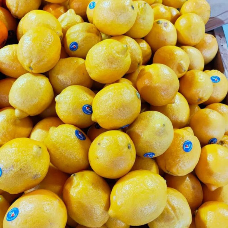 

Jeruk lemon california import fresh 1kg