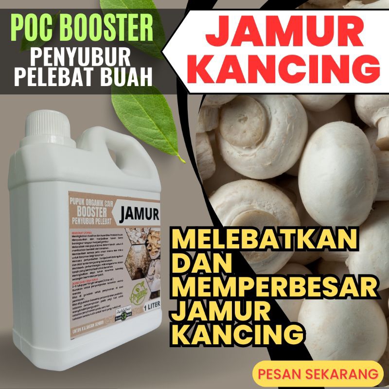 Pupuk Organik Untuk Jamur Kancing Agar Perkembiakan Miselium Sangat Cepat Pupuk Jamur Kancing 1Liter