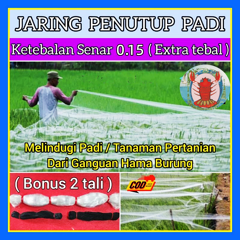 JARING PADI PENUTUP SAWAH SENAR 0.15/ JARING BURUNG PIPIT DAN EMPRIT / JARING PENUTUP SAWAH / JARING