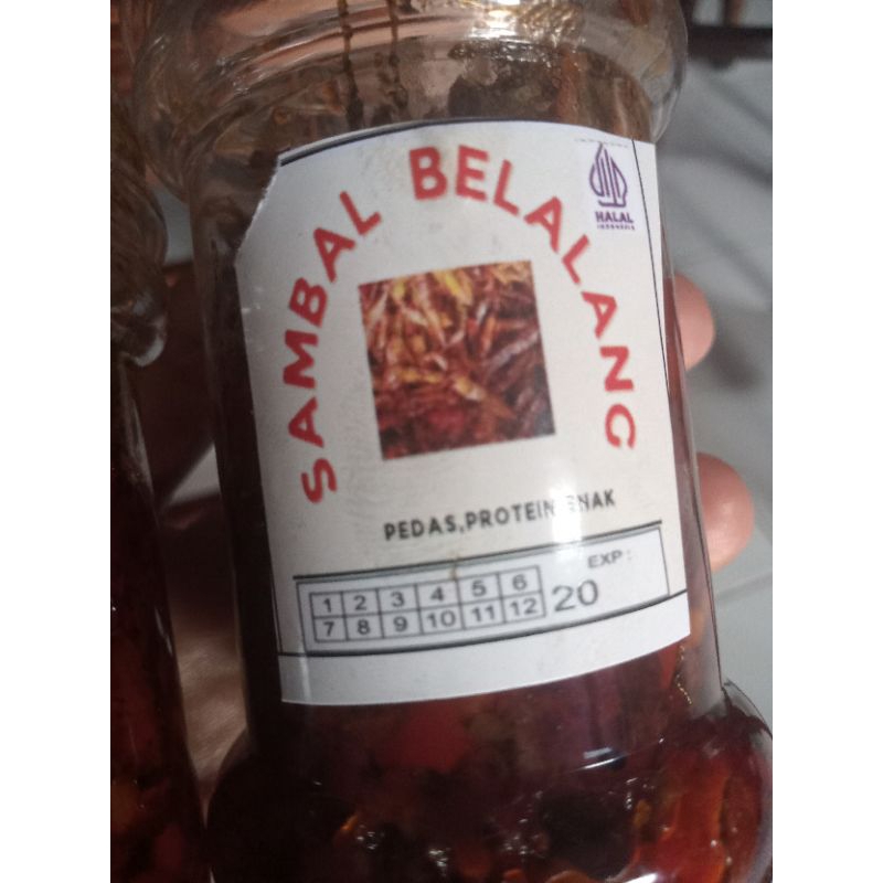 

sambal belalang wonogiri.sangat lezat di temani nasi