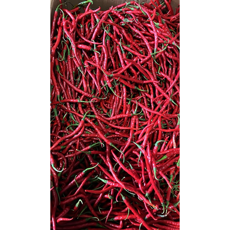 

cabe kriting merah (cmk fresh 1kg)