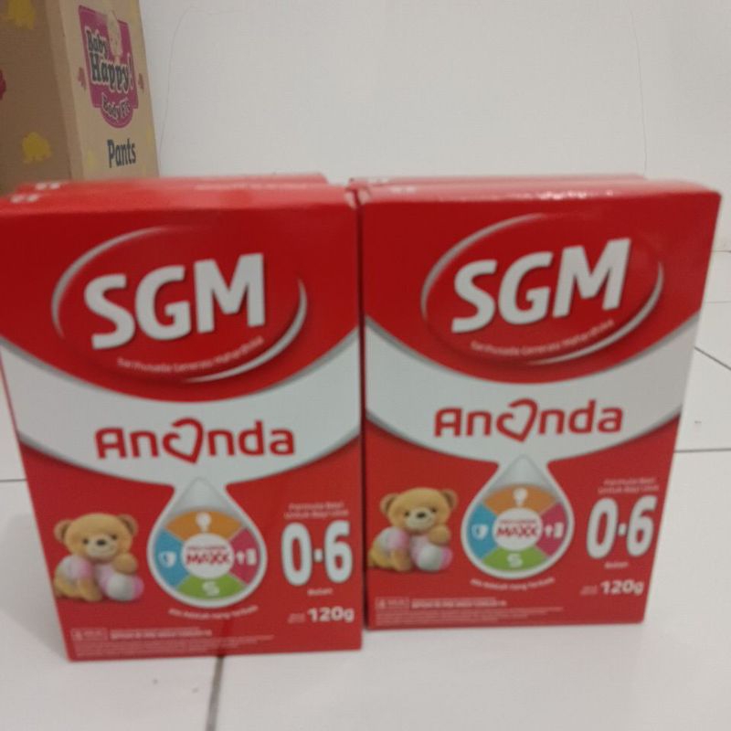 Susu SGM 0-6 bulan