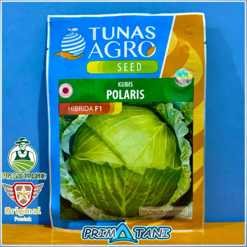 Benih Kubis Hibrida F1 POLARIS dari Tunas Agro- 10gram