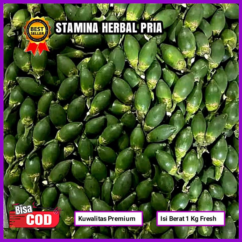 

Pinang Muda Fresh 1 kg Stamina Herbal Pria