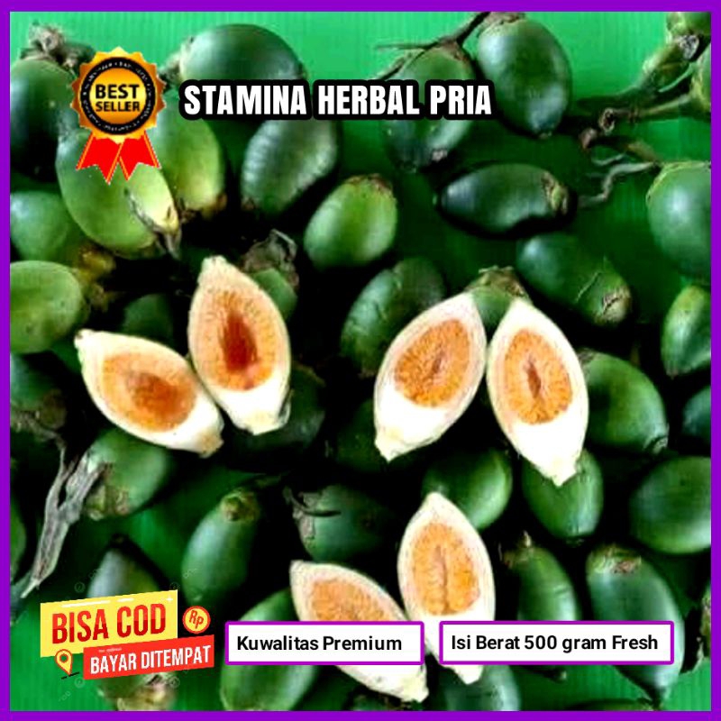

SETAMINA HERBAL ALAMI Pinang Muda Isi 500 gram Fresh Untuk Pria Kuwat