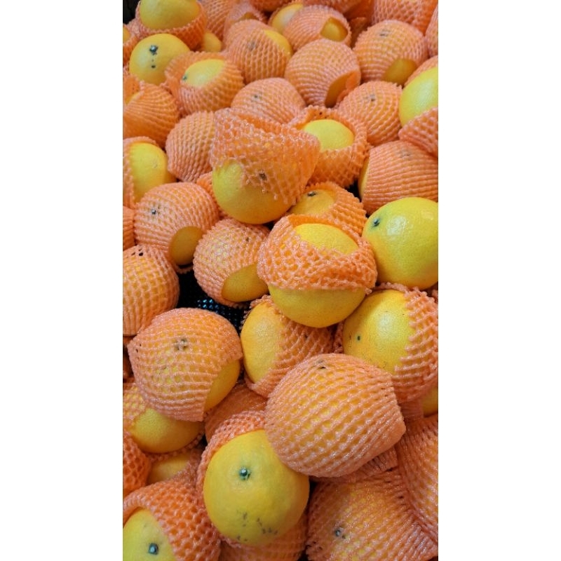 

Jeruk Aiyen | Jeruk Aiyunan Fresh 1 Kg