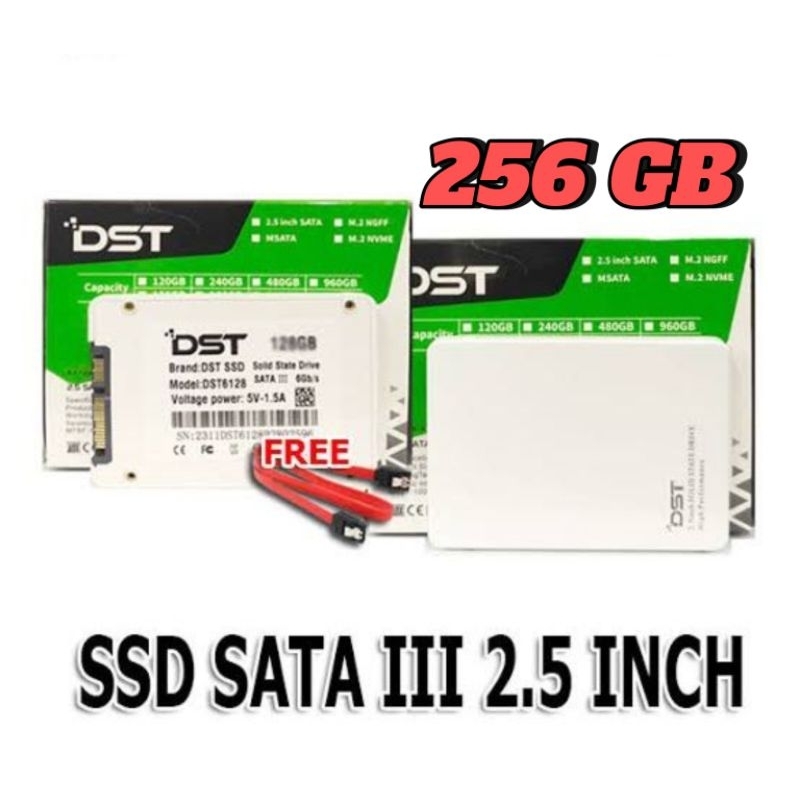 SSD 256GB DST SATA MURAH