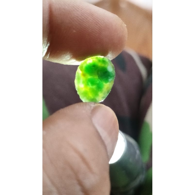 bacan doko gulau kura hijau botol