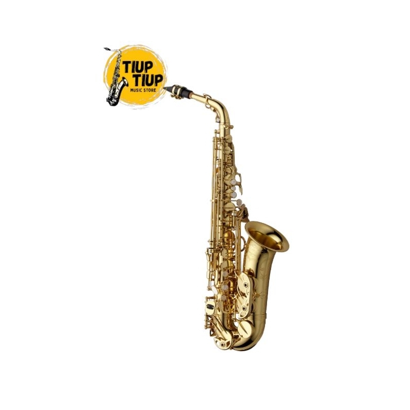 YANAGISAWA ALTO SAXOPHONE (AWO10)