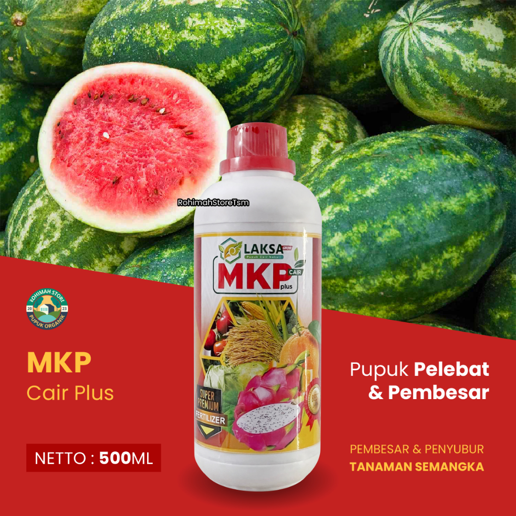 Pupuk Penutrisi Tanaman Buah Semangka MKP cair plus pupuk pelebat buah dan penyubur tanaman, pupuk s