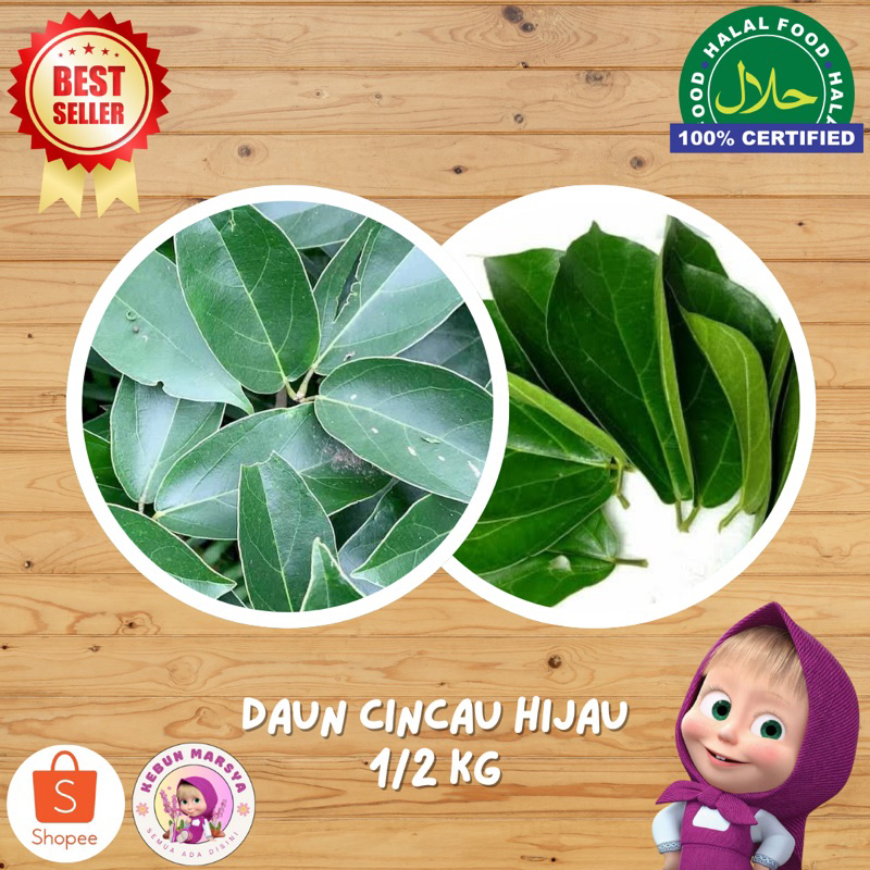 

Daun Cincau Perdu Fresh 500 Gram - KebunMarsya