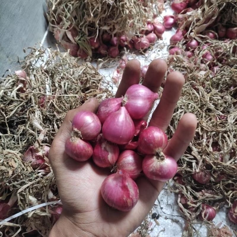

bawang merah 500g