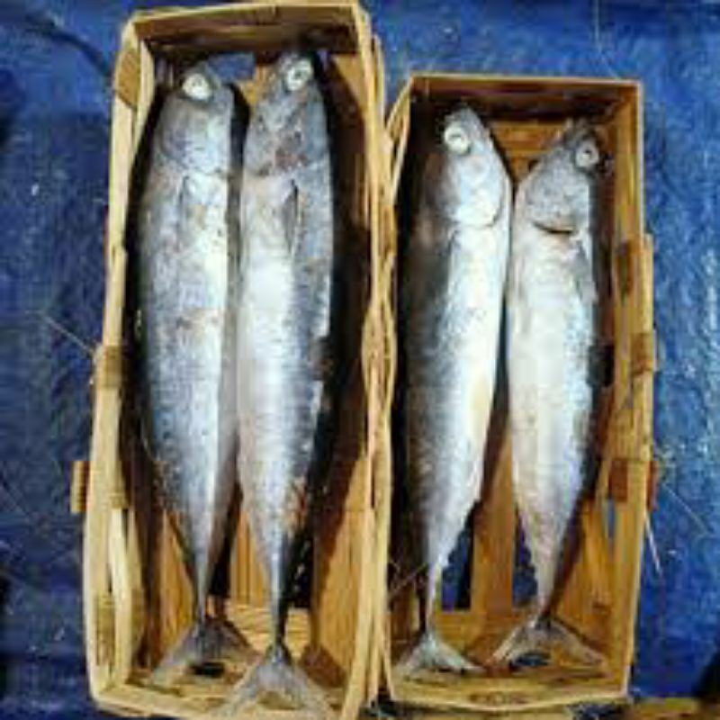 

ikan salem asin besar isi 2