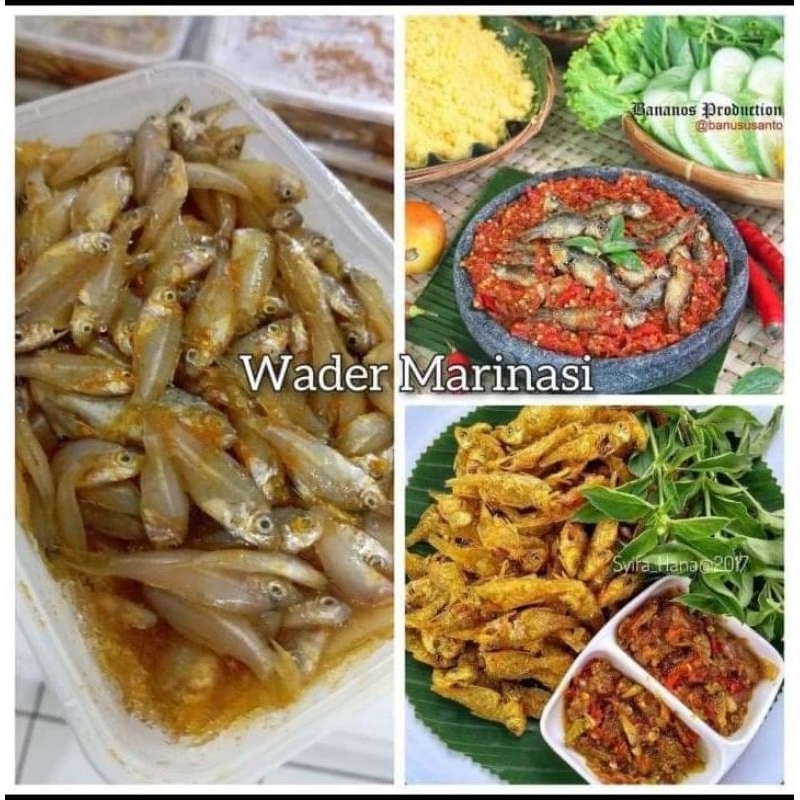 

Wader Marinasi | Ikan Wader Marinasi | Wader Berbumbu