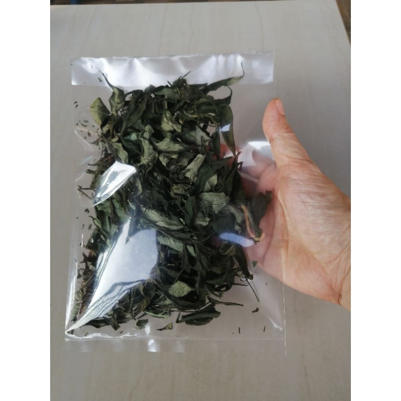 

daun sambiloto kering. herbal. Dan pilihan. 10 gram