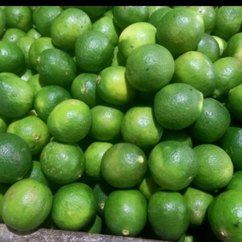 

Jeruk Nipis Segar 500 gram