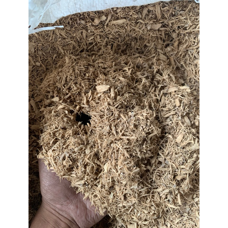 

Pongkol singkong pakan ternak kering repack 1kg