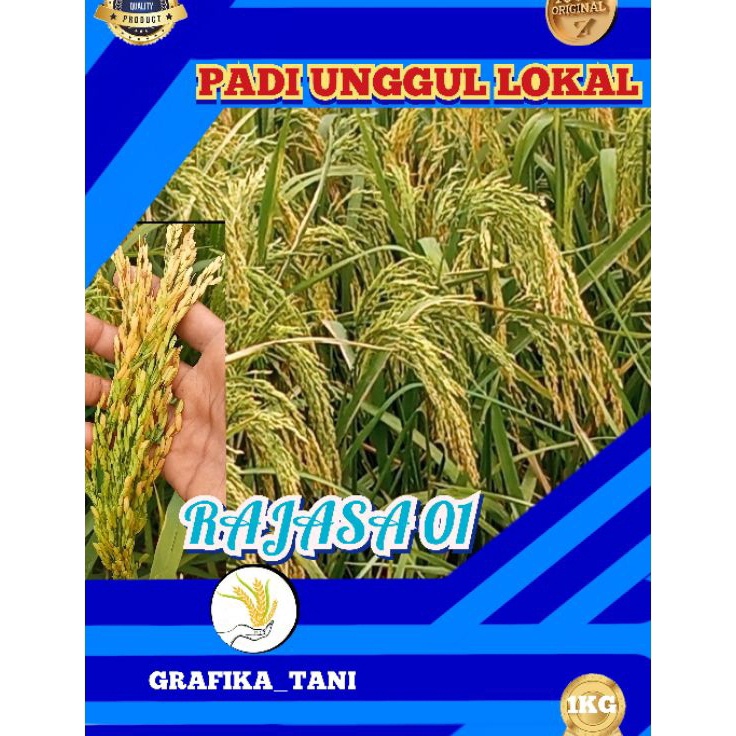 PAKET benih padi rajasa 1