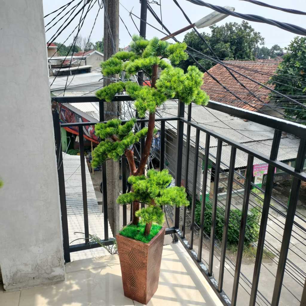 Pohon Bonsai Cemara Udang/Bonsai Cemara Udang Artificial/ Pohon Bonsai Tinggi 1,5 m