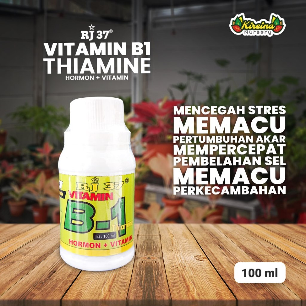 Vitamin B1 RJ 37 100ml