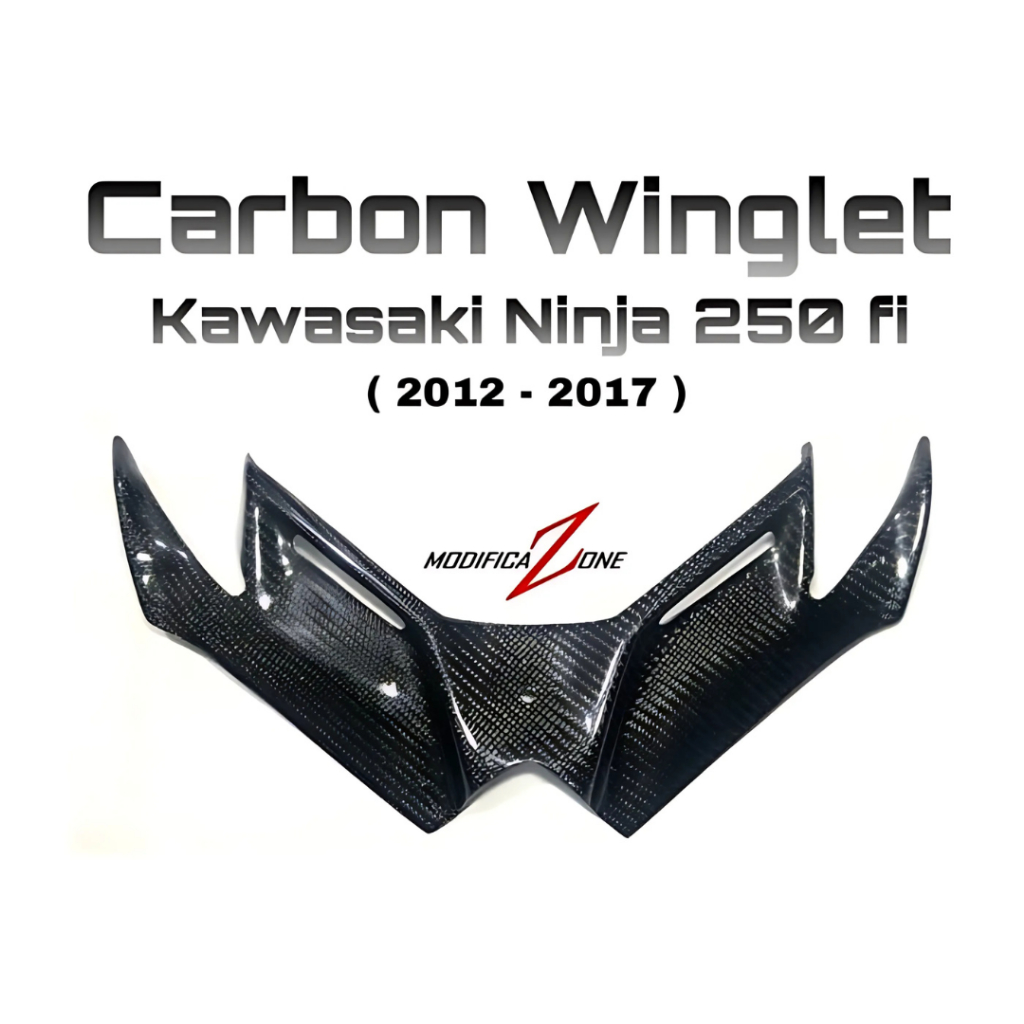 CarbonStar Winglet Carbon Kawasaki Ninja 250fi