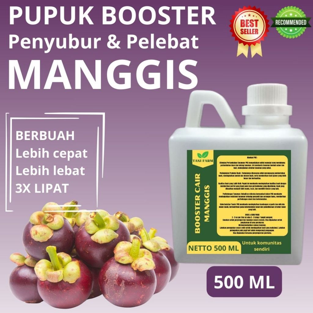 Pupuk Manggis Agar Buah Lebat dan Berat / Pupuk Manggis / Pupuk Manggis Baru Tanam / Pupuk Cair