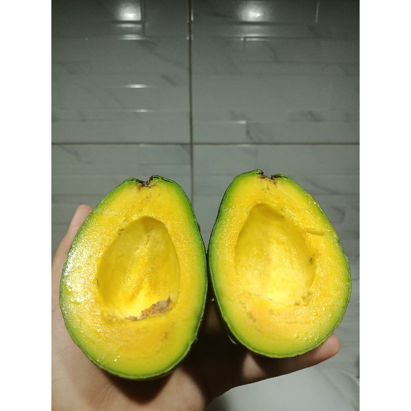 

ALPUKAT MENTEGA PREMIUM//BUAH ALPUKAT PREMIUM