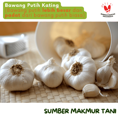

Bawang Putih Kating Besar Padat Segar Kualitas Terbaik Petani Lokal Super Bawang Putih Kating Premium Aroma Tajam, Siung Besar, dan Kualitas Terbaik dari Sumber Makmur Tani