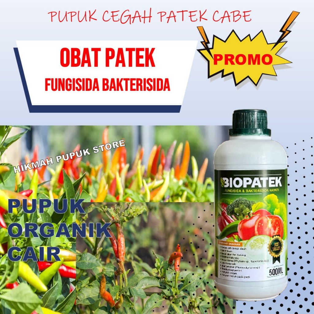 Pupuk Semprot Mengobati Hama Patek/Busuk Buah Cabe, Cabe Rawit, Cabe Domba, Pupuk Atasi Antraknosa B