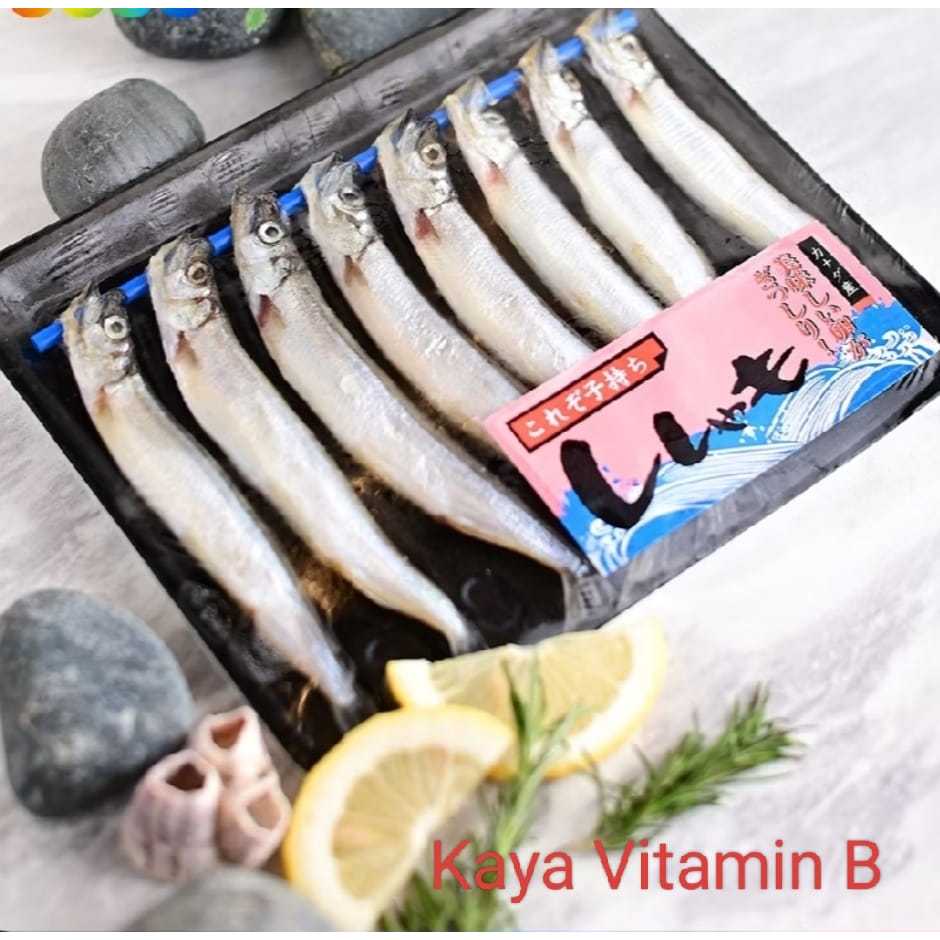 

Ikan Shisamo Telur Premium Shisamo Fish Import Capelin Frozen 8 pcs