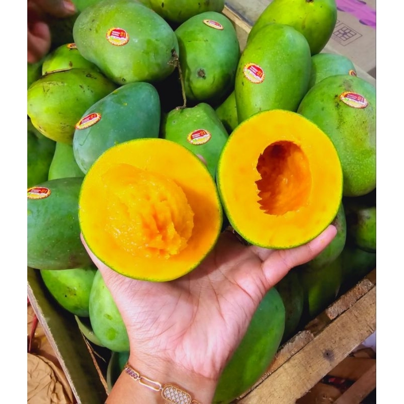 

Mangga Klonal Masak Pohon 5kg