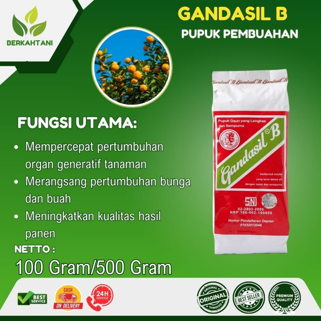 Gandasil Buah Gandasil B 100 Gram
