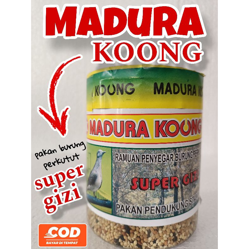 pakan burung perkutut Madura koong