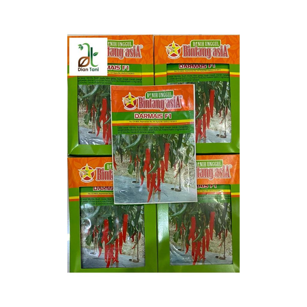 BENIH CABAI BESAR - DARMAIS F1 Bintang Asia