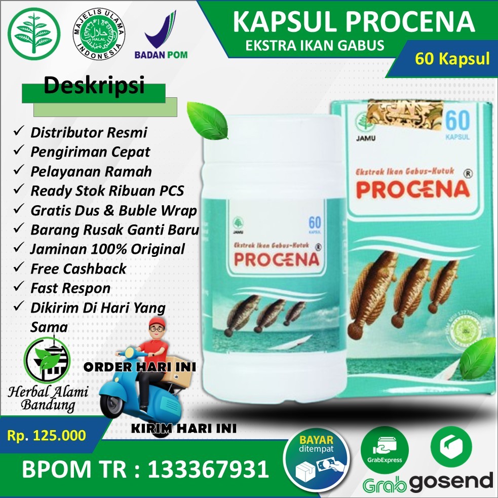 PROCENA Kapsul Ikan Gabus Obat Pasca Operasi Ekstra Minyak Ikan Gabus Original