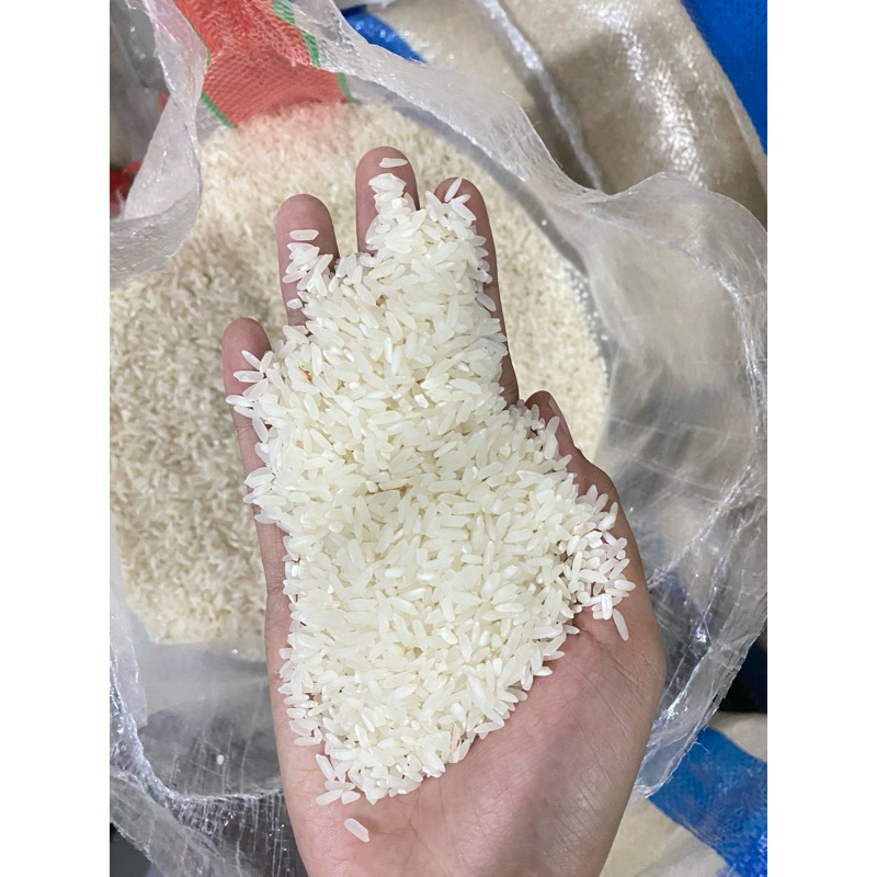 

beras bramu premium