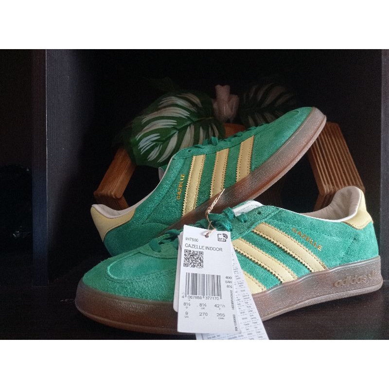 Gazelle Indoor cw liverpool