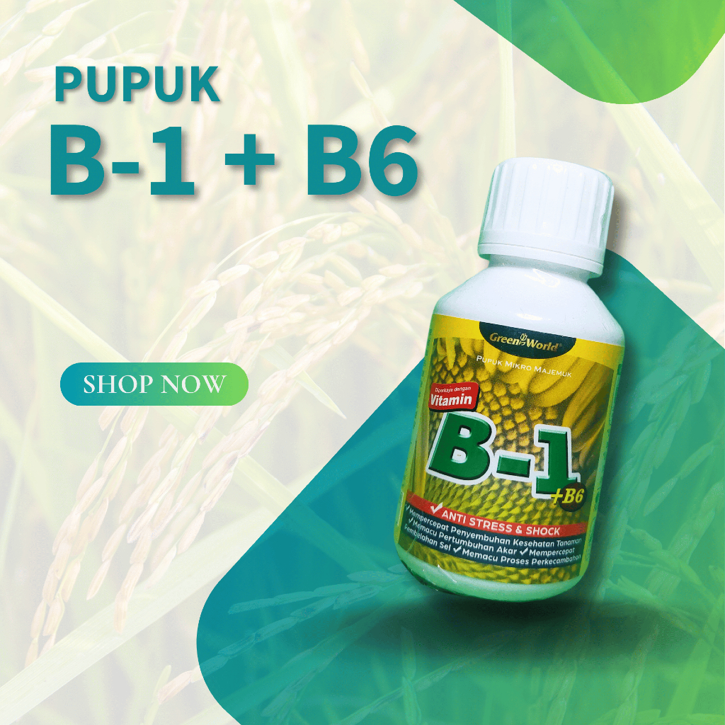 Vitamin B1 + B6 - 100 ml Perangsang akar anti stress tanaman