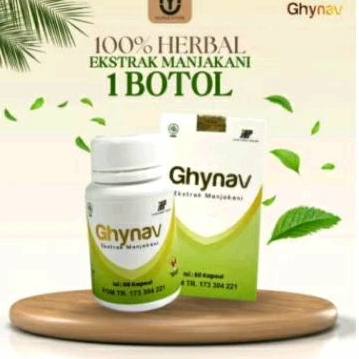 GHYNAV Obat keputihan Ekstrak Manjakani menjaga Kesehatan pada area kewanitaan