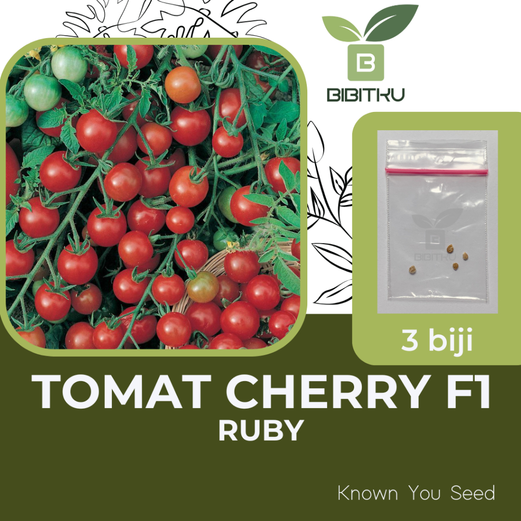 Benih Tomat Cherry Ruby Merah Mini Known You Seed