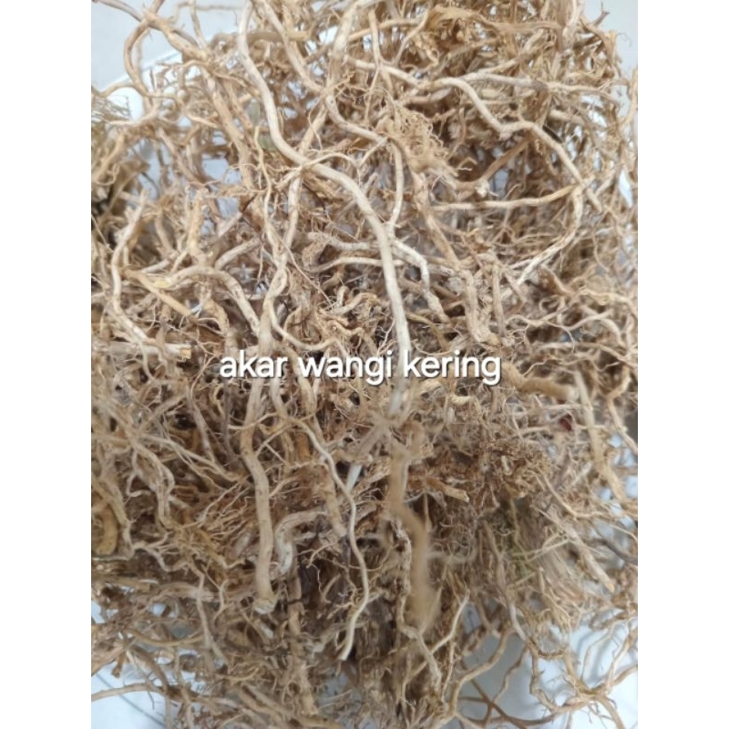 

READY LANGSUNG KIRIM AKAR WANGI KERING ASLI 100GRAM