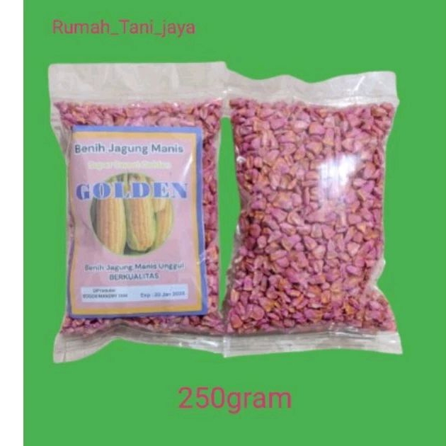 

GOLDEN 250gram GRAMBIBIT JAGUNG MANIS UNGGUL :
