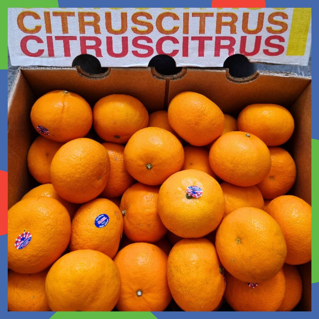 

Jeruk Honey Murcott Seedless AUS dus +-8,5kg