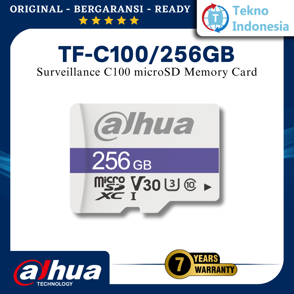 Dahua MicroSD 256GB TF-C100 Mmc 256GB Memory Card CCTV