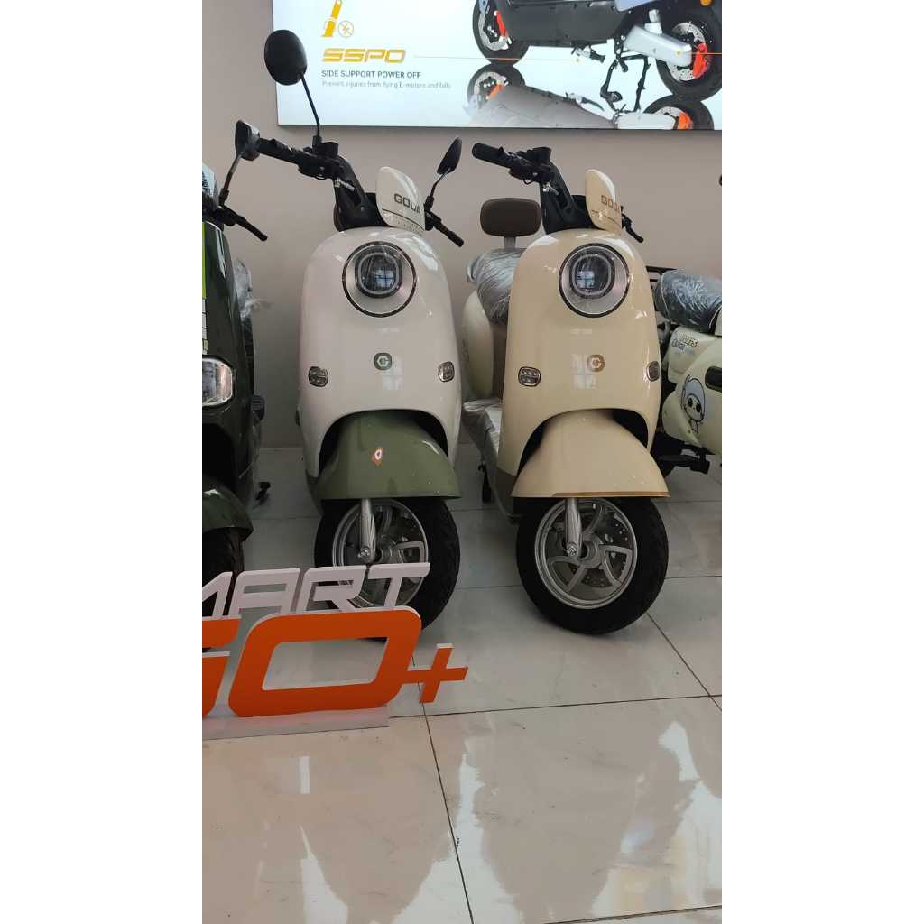 TIDAK TERIMA CODSEPEDA LISTRIK GODA 166 PLUS BATERAI 48V 20AH DINAMO 1000 WATT