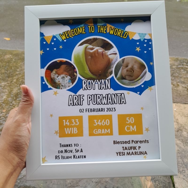 Biodata bayi frame 10R, Baby bio custom