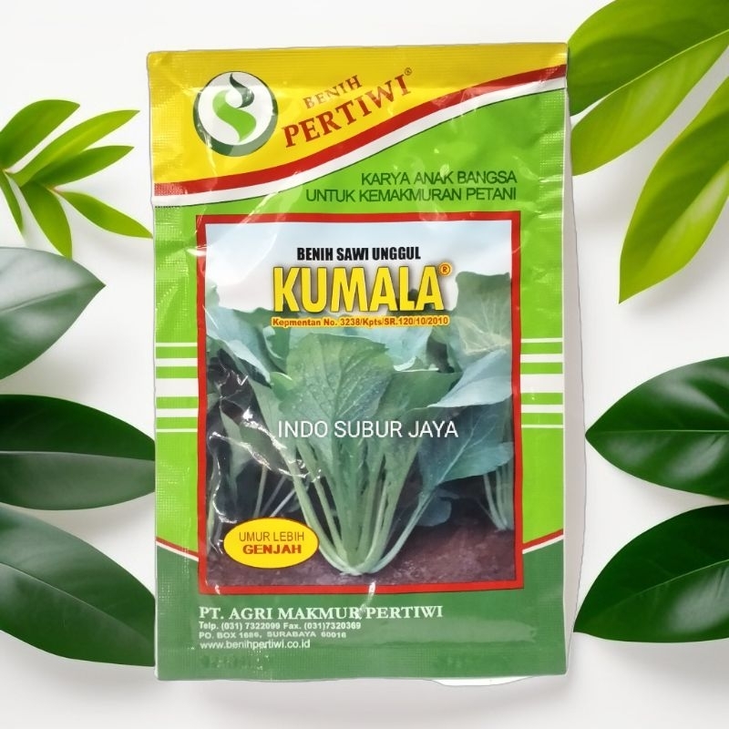 Benih Sawi Manis Kumala 100 gram dan 25 gram Benih Pertiwi